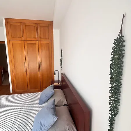 Hortaskyline Horta (Azores)